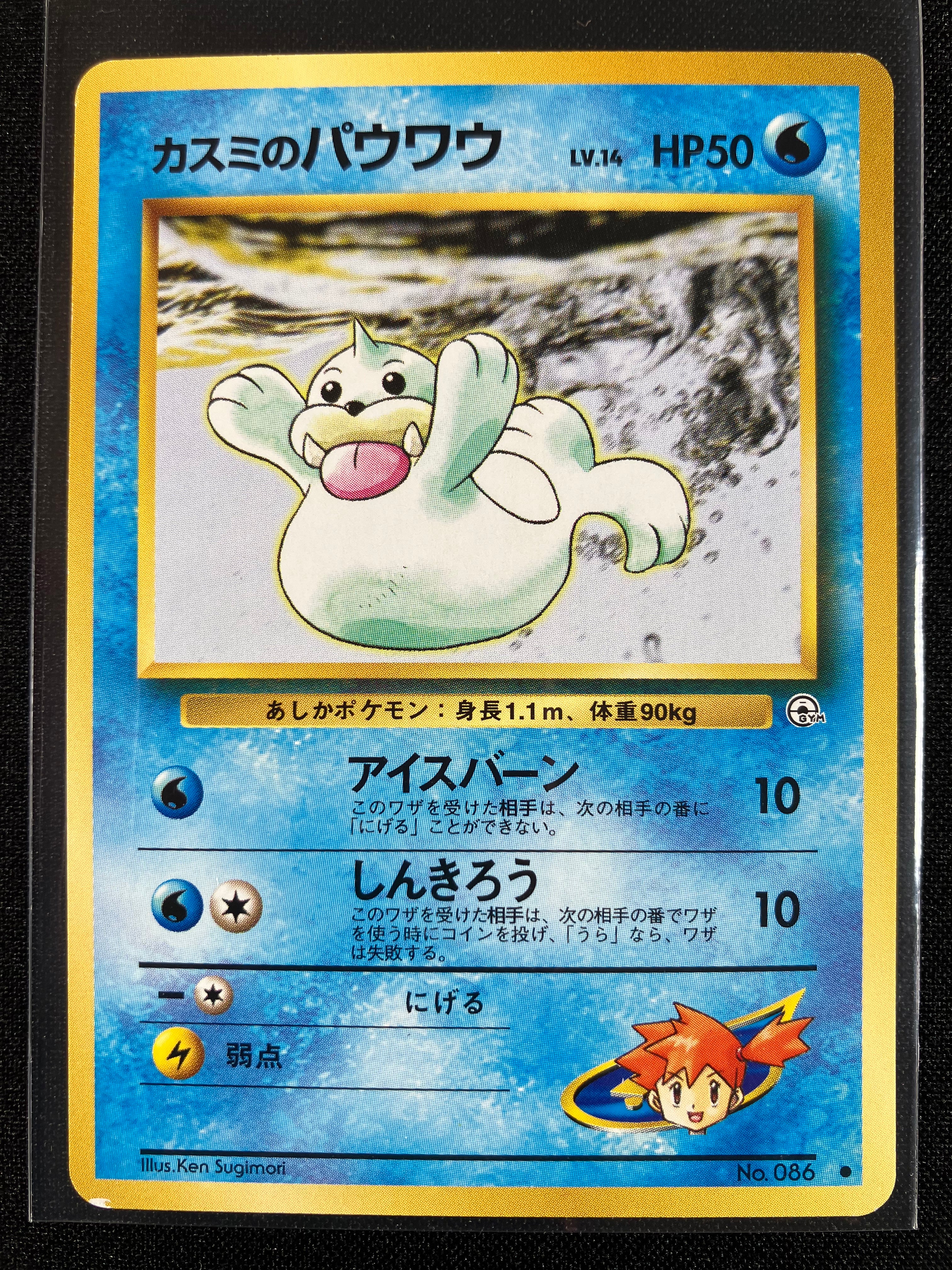 Misty's Seel - Leaders' Stadium