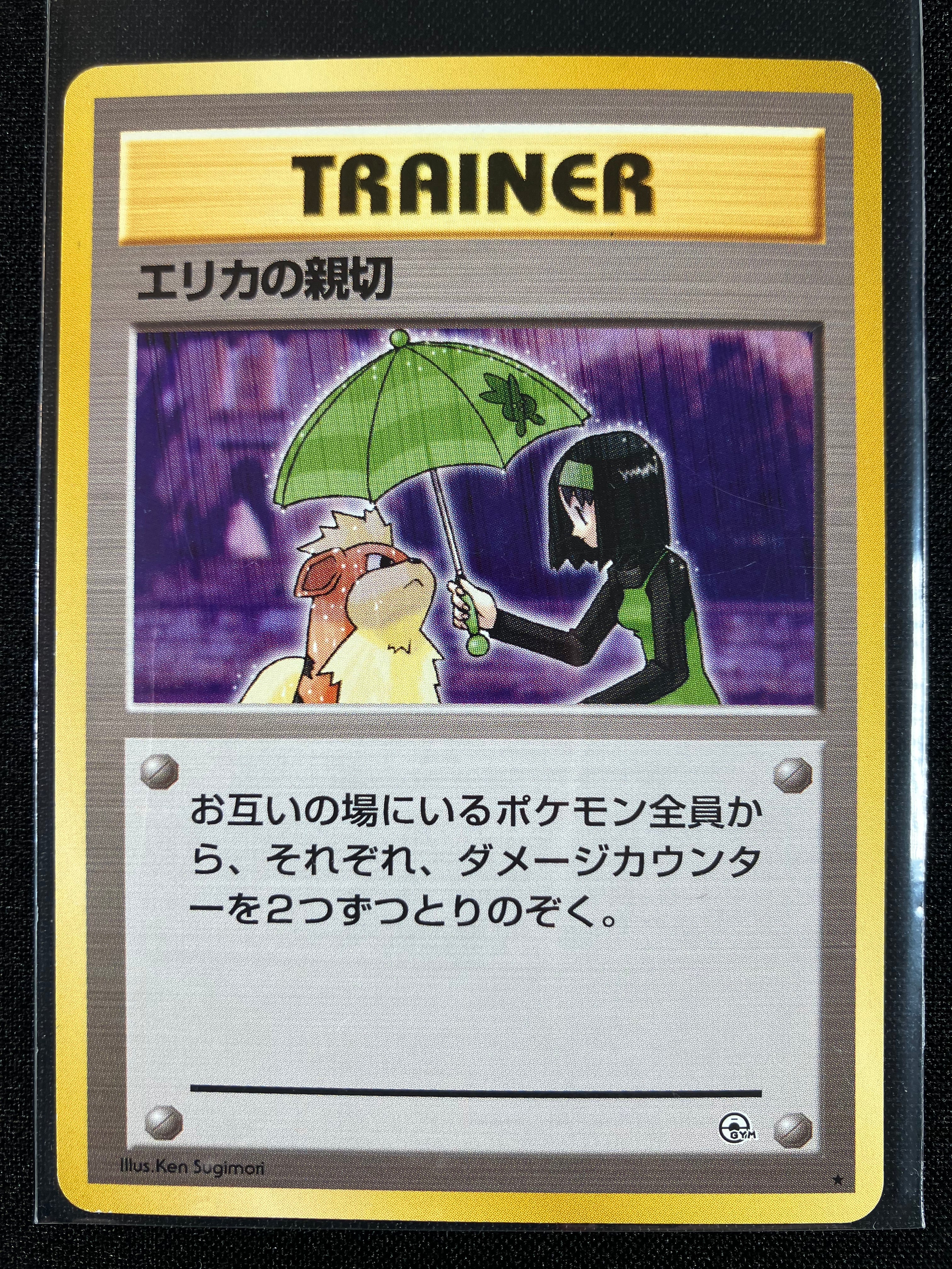 Erika's Kindness - Leaders' Stadium