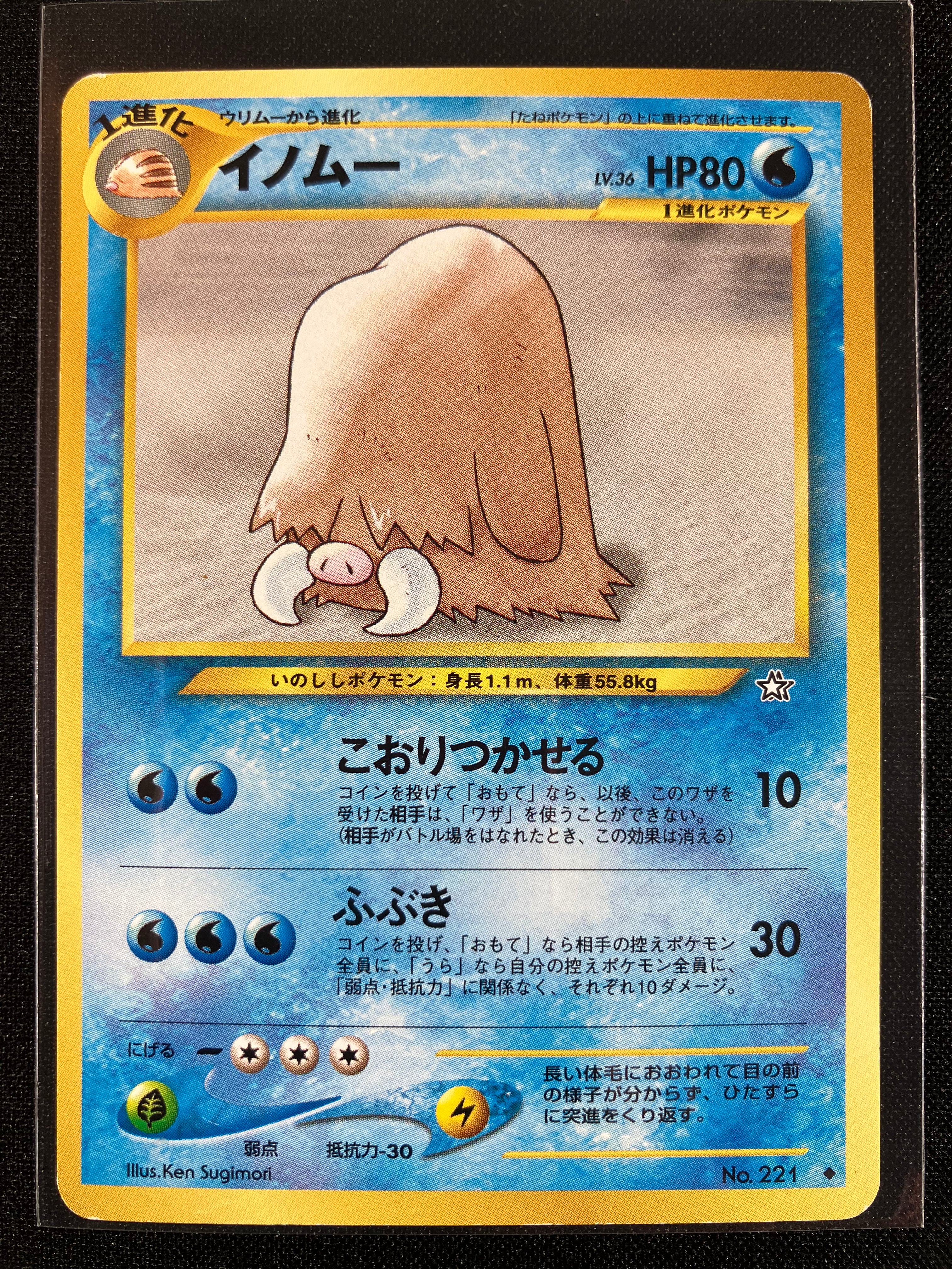 Piloswine - Gold, Silver, To A New World...