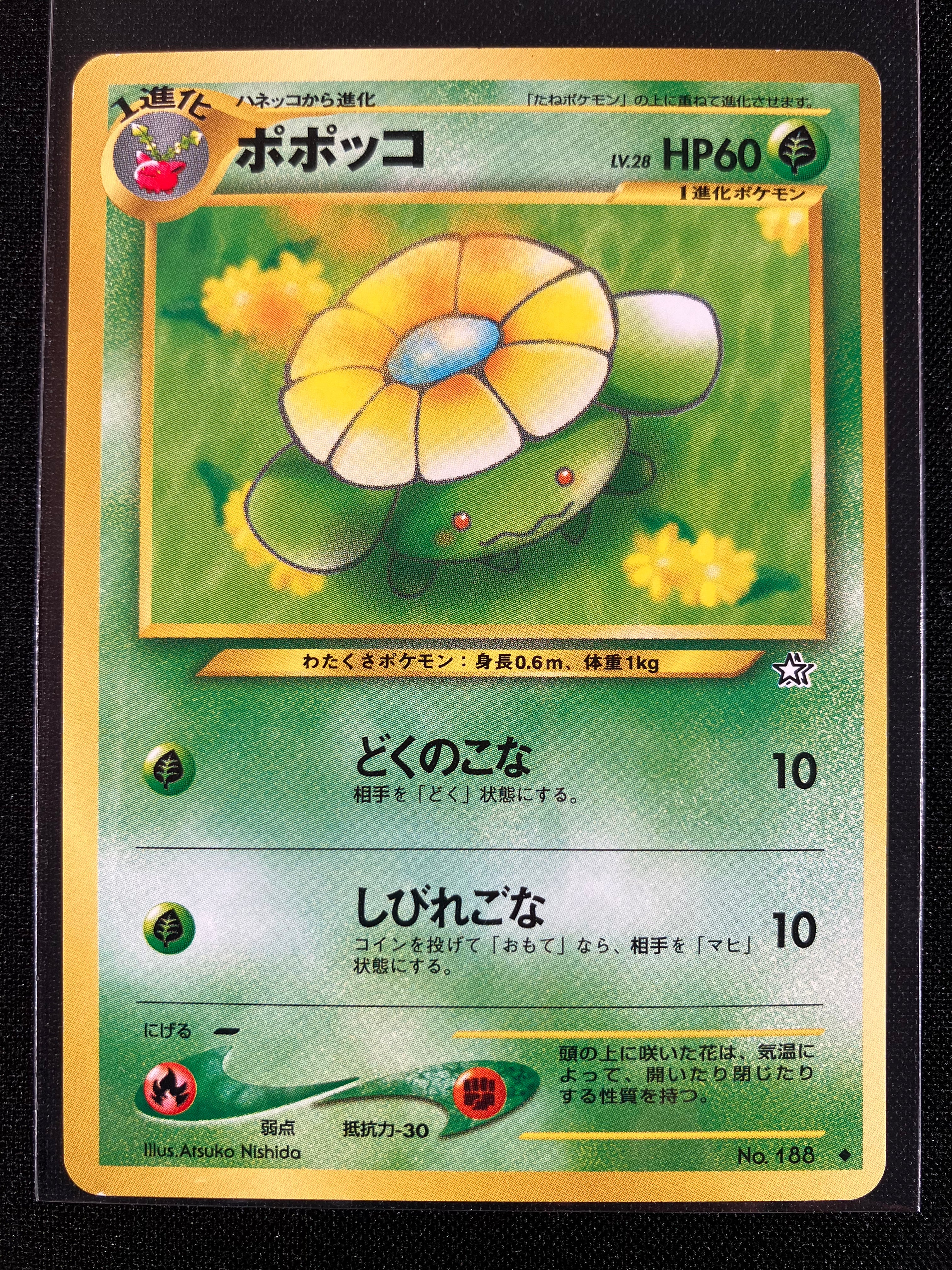 Skiploom - Gold, Silver, To A New World...