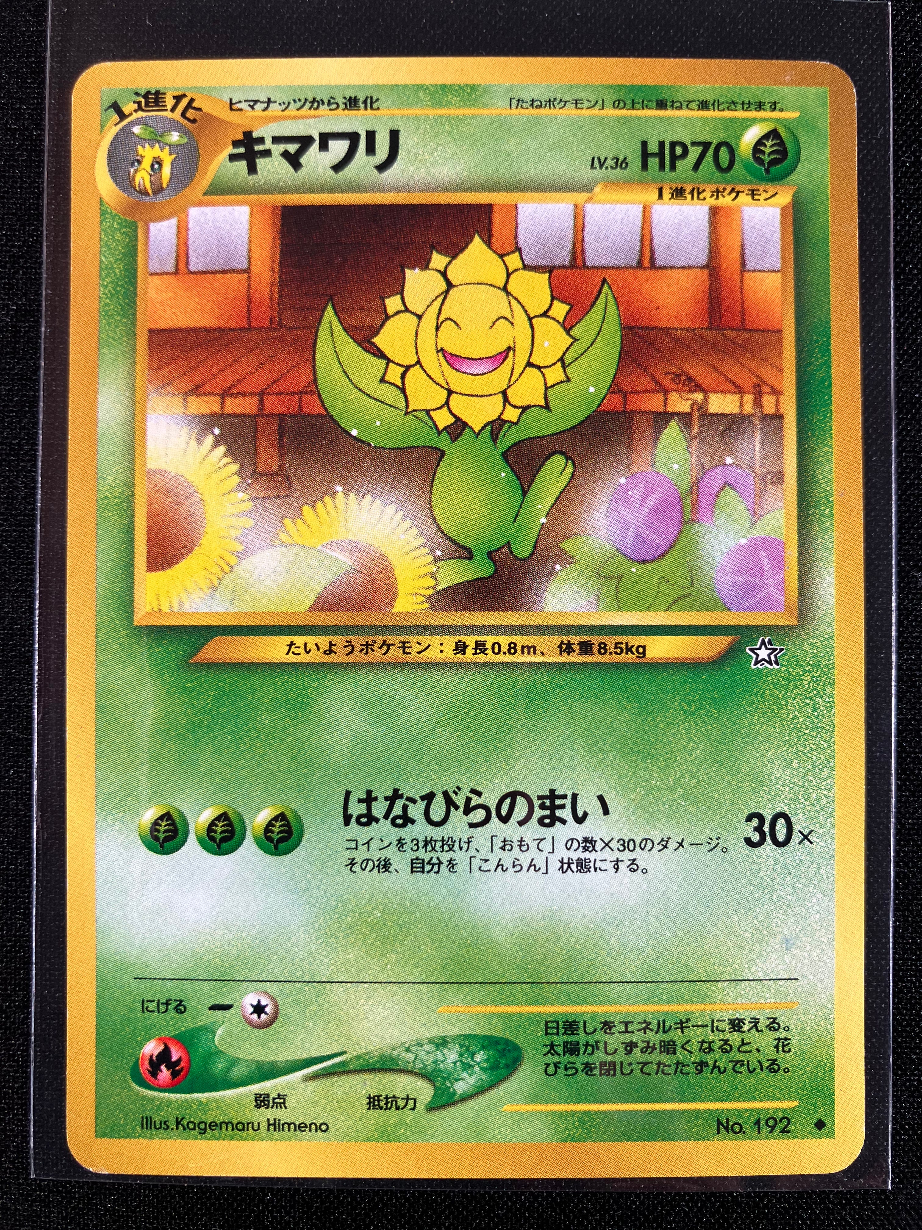 Sunflora - Gold, Silver, To A New World...