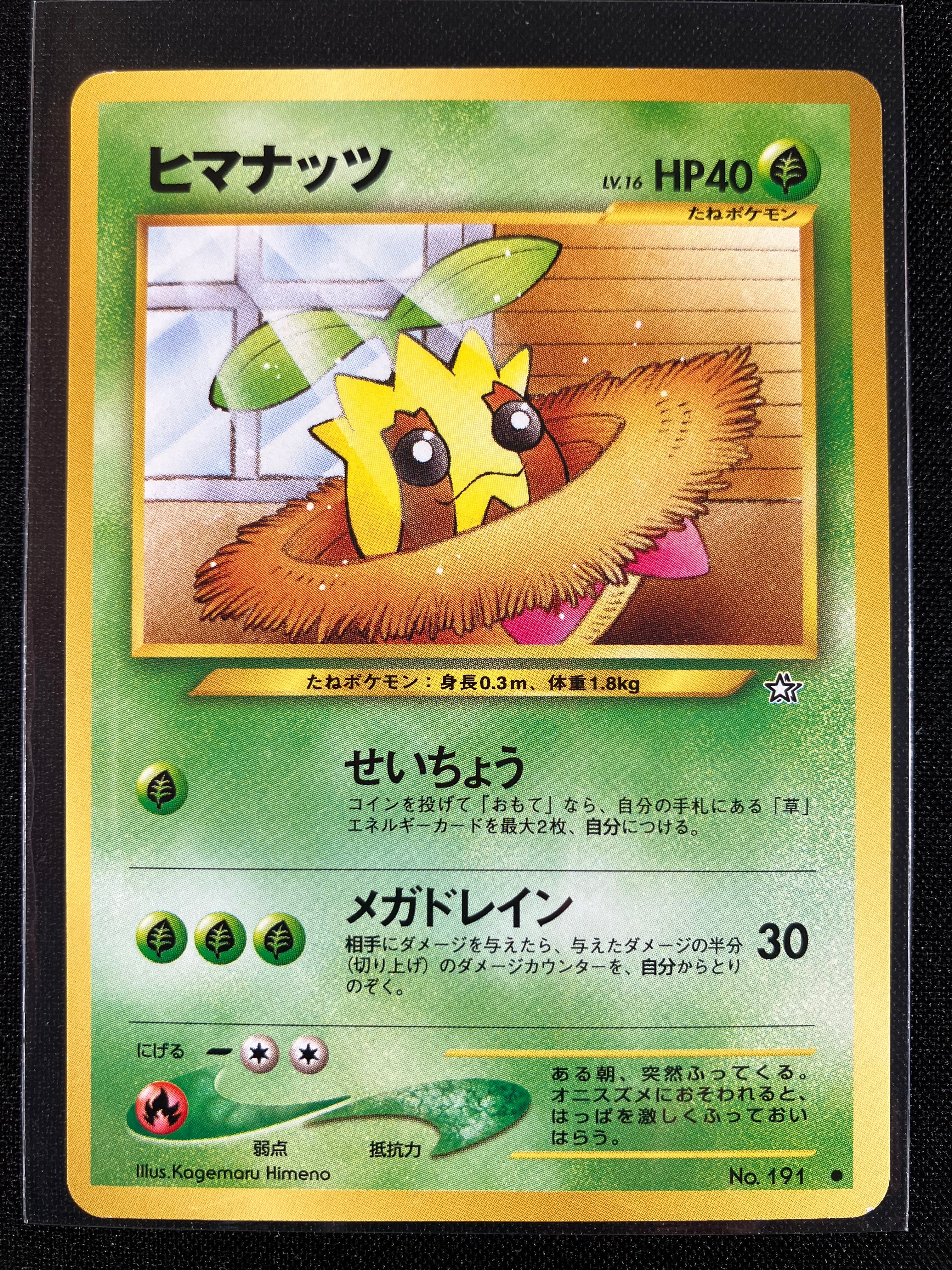 Sunkern - Gold, Silver, To A New World...