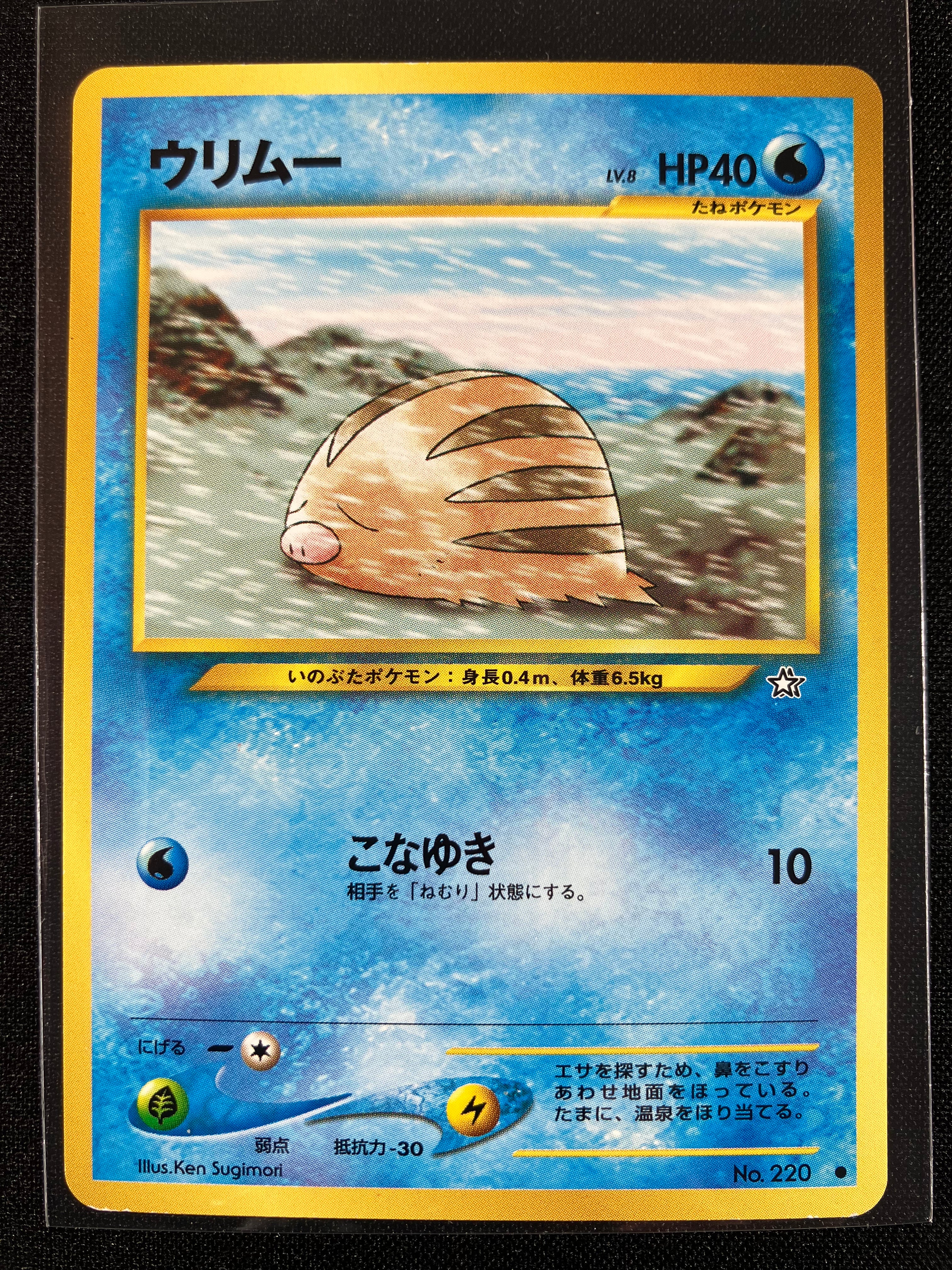 Swinub - Gold, Silver, To A New World...