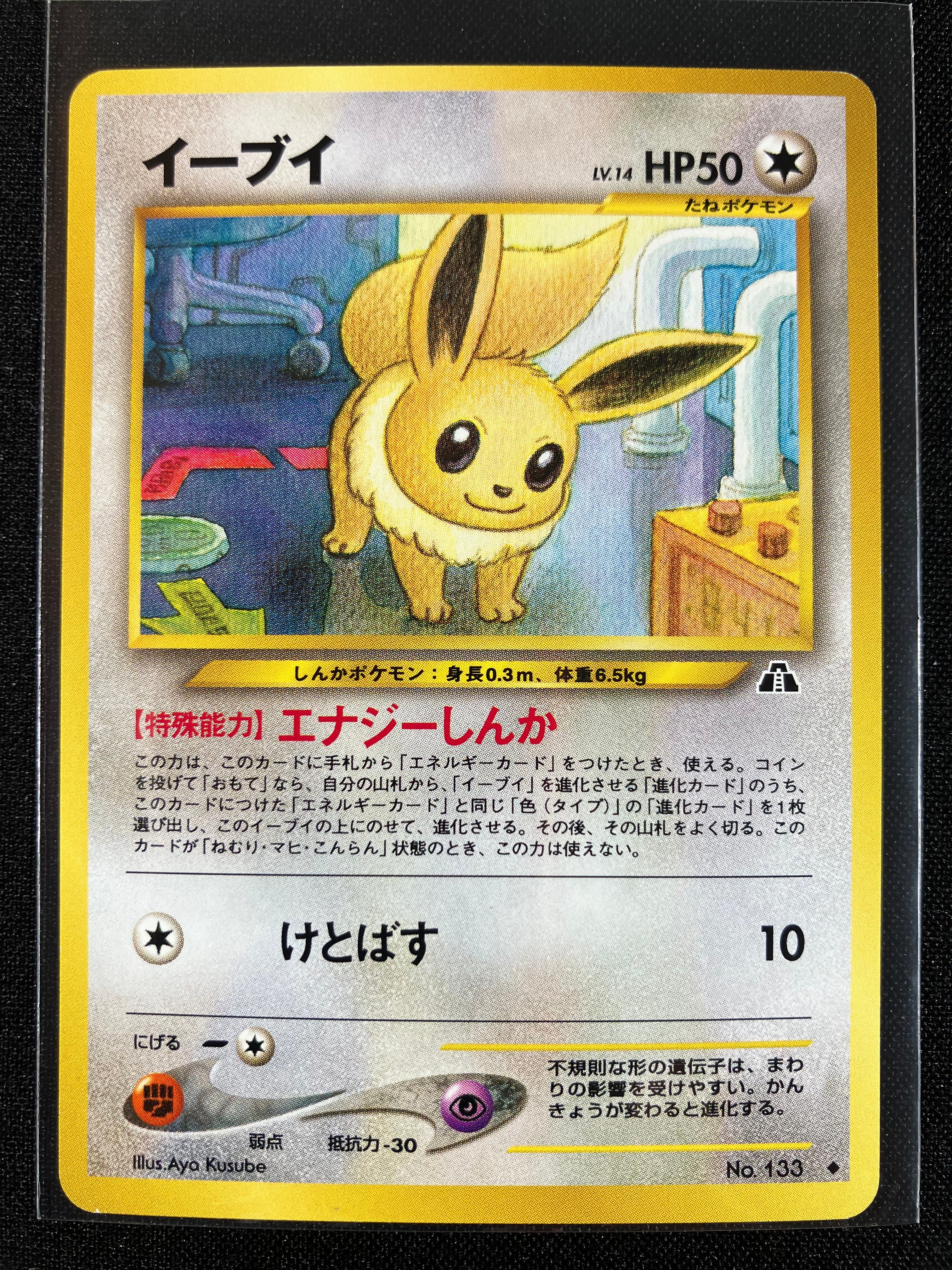 Eevee - Crossing The Ruins...