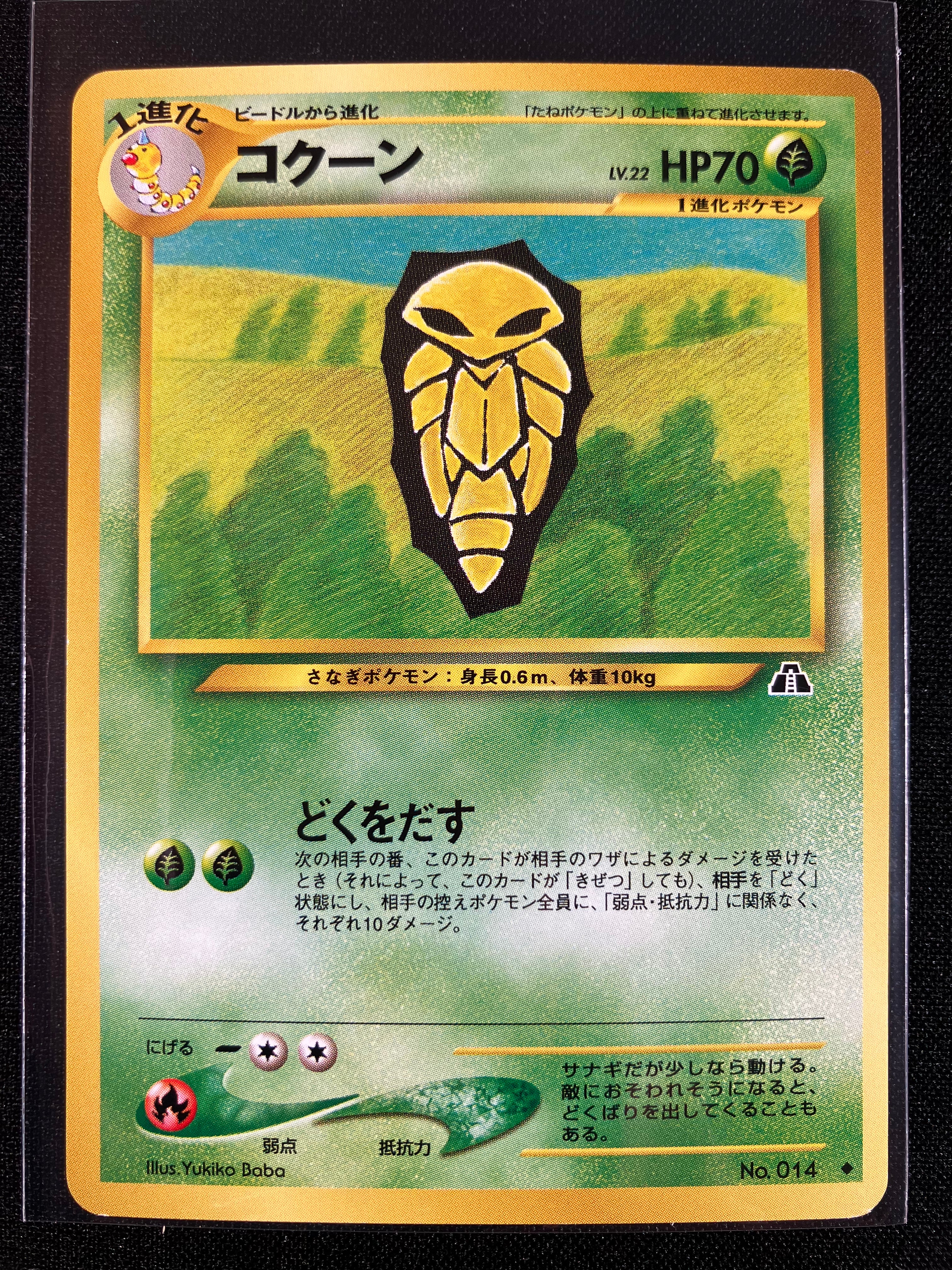 Kakuna - Crossing The Ruins...