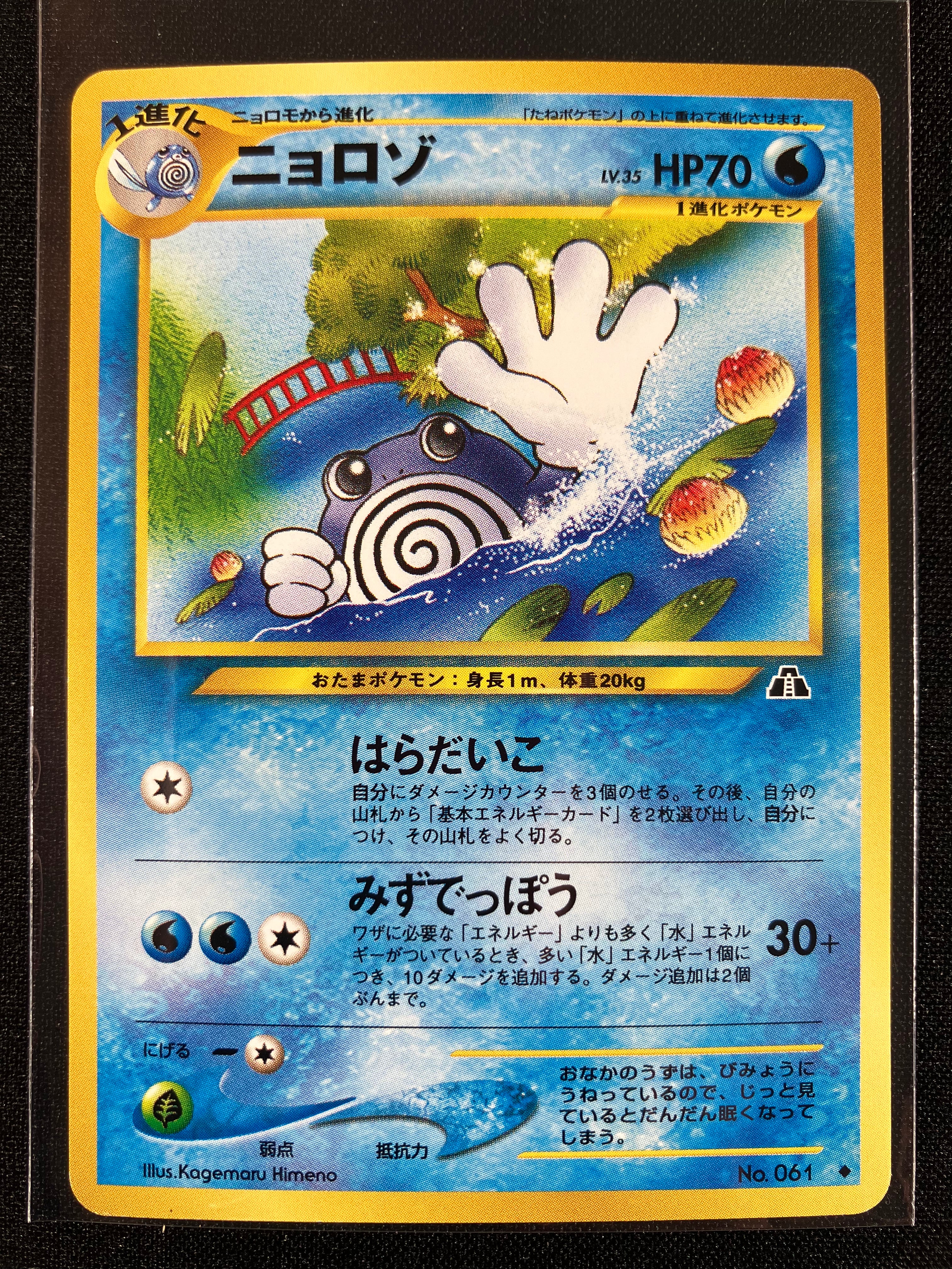 Poliwhirl - Crossing The Ruins...