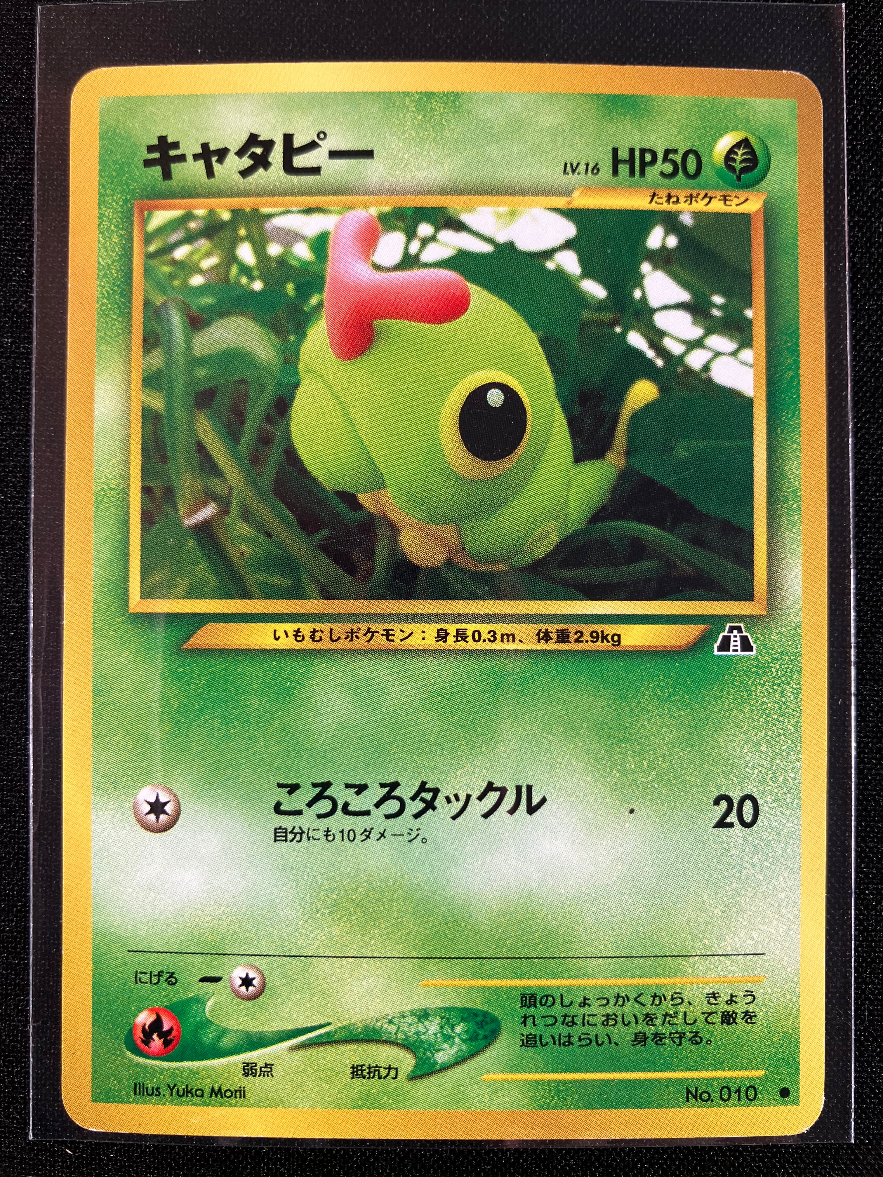 Caterpie - Crossing The Ruins...