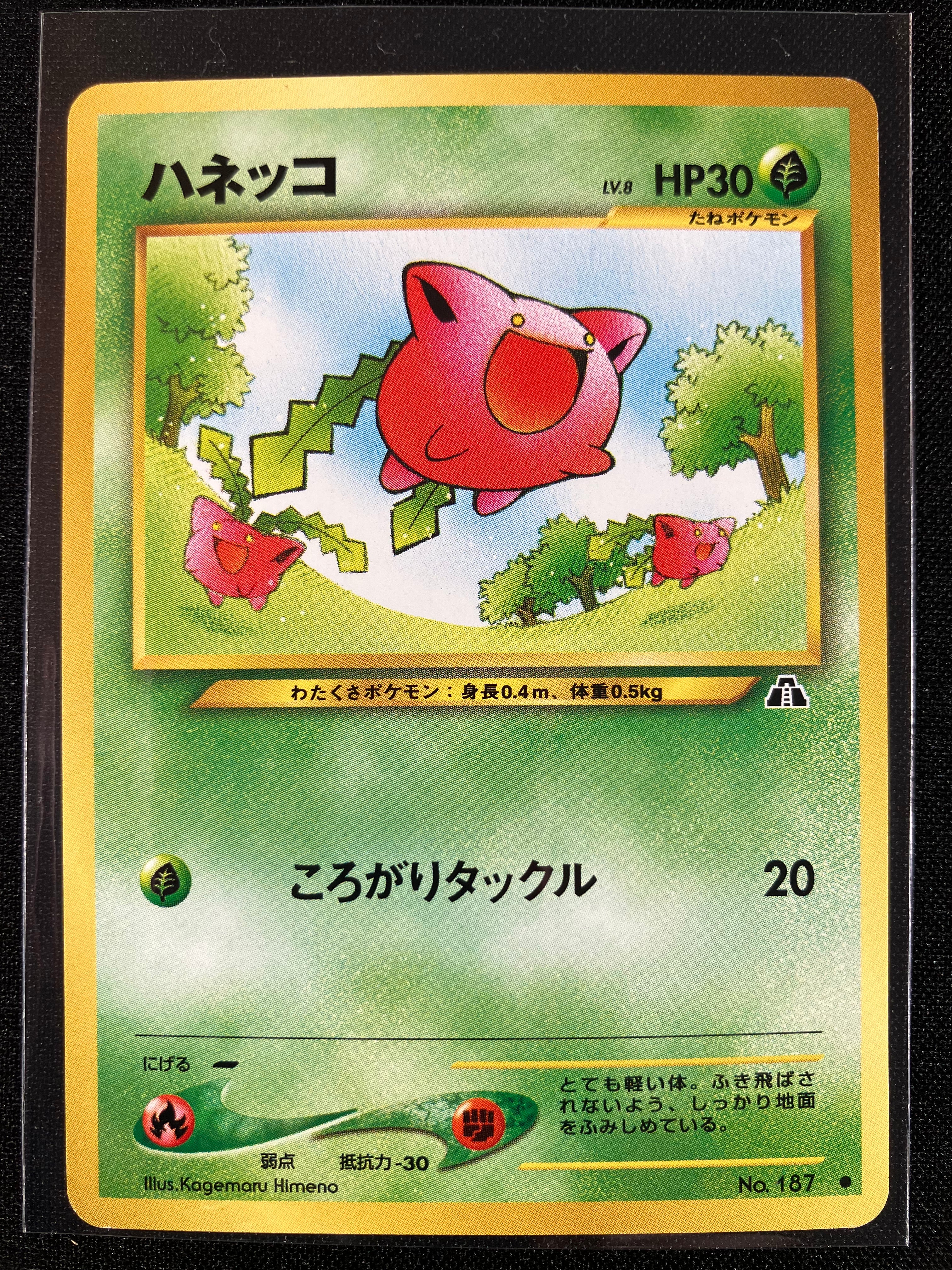 Hoppip - Crossing The Ruins...