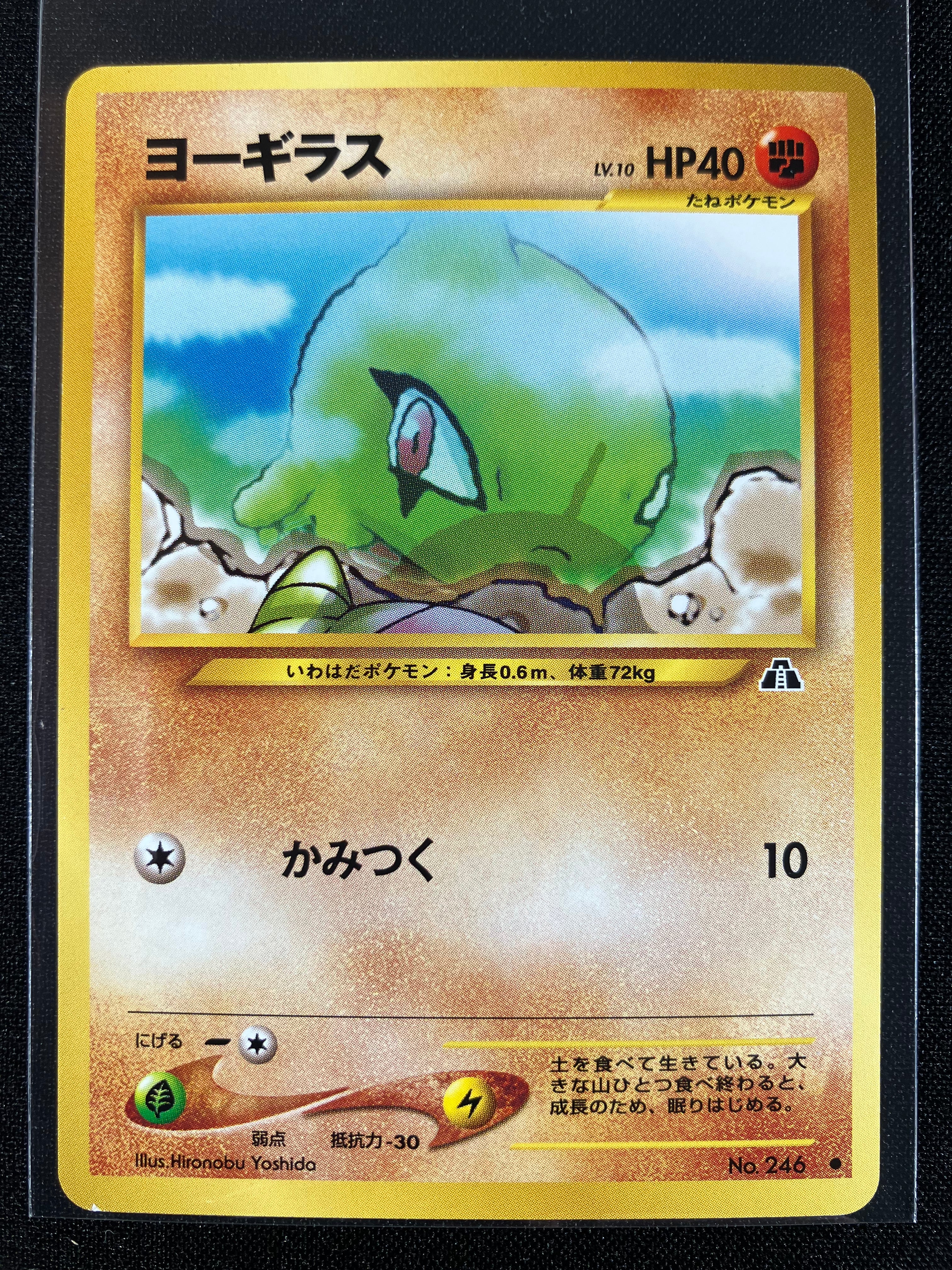 Larvitar - Crossing The Ruins...