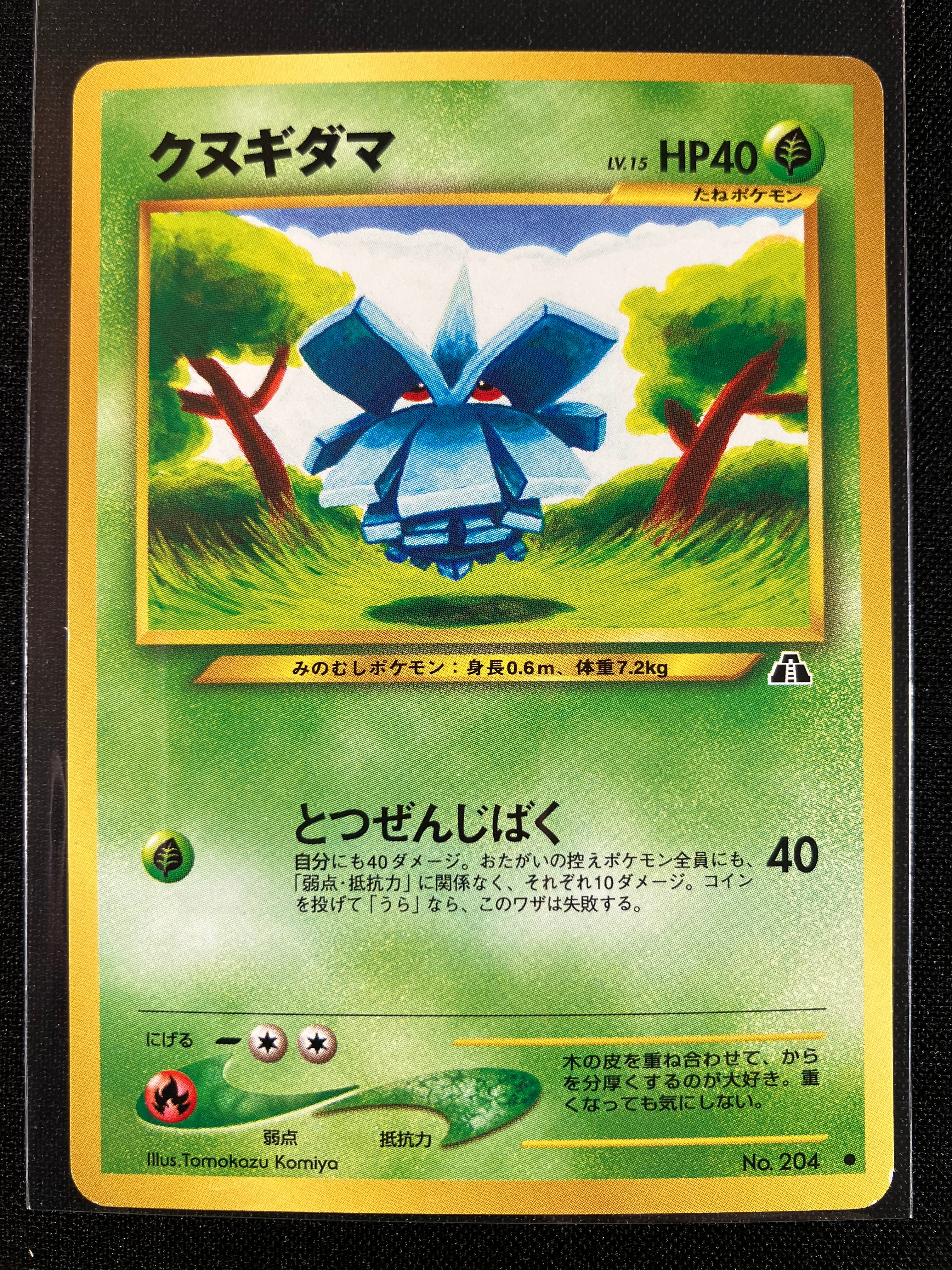 Pineco - Crossing The Ruins...