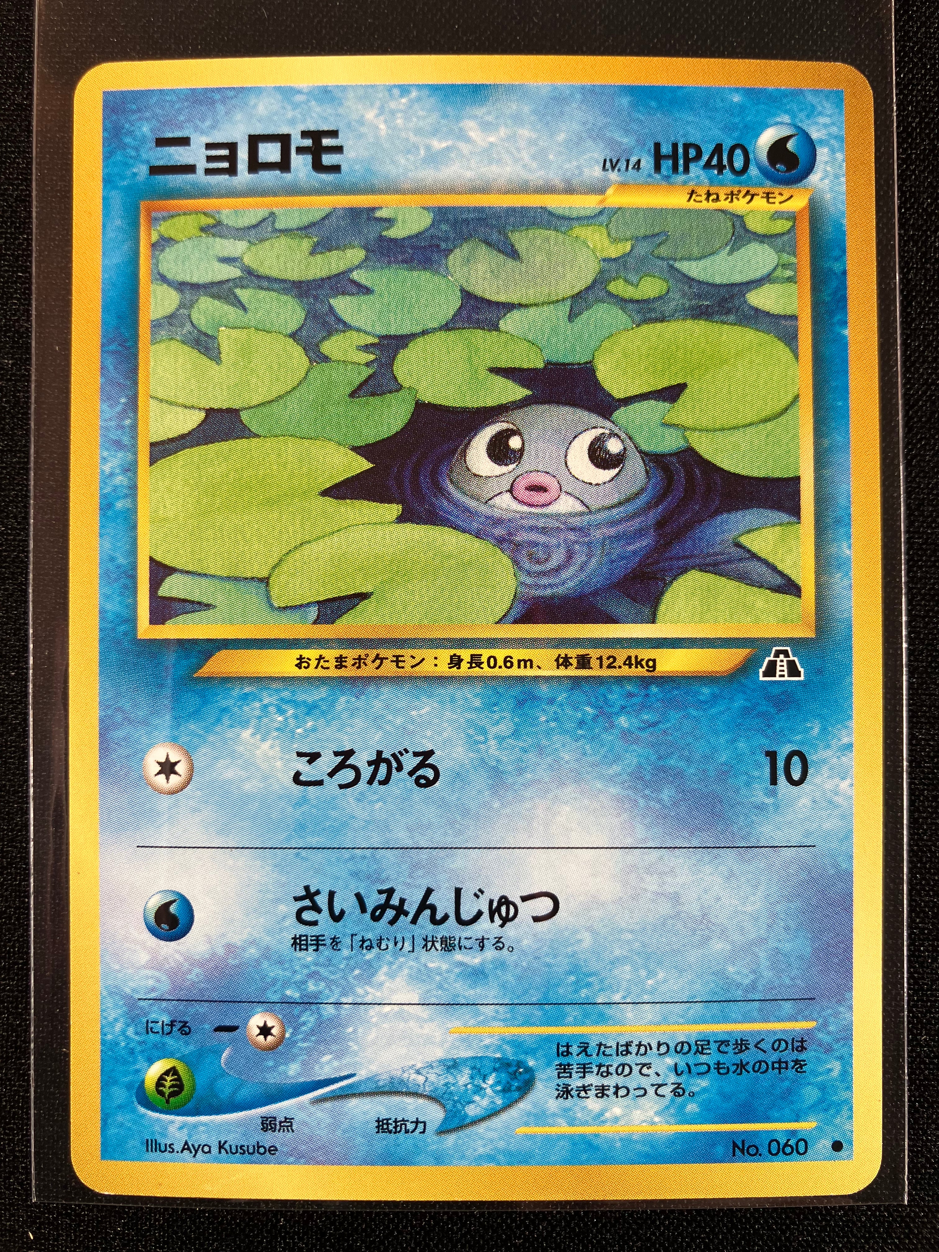 Poliwag - Crossing The Ruins...