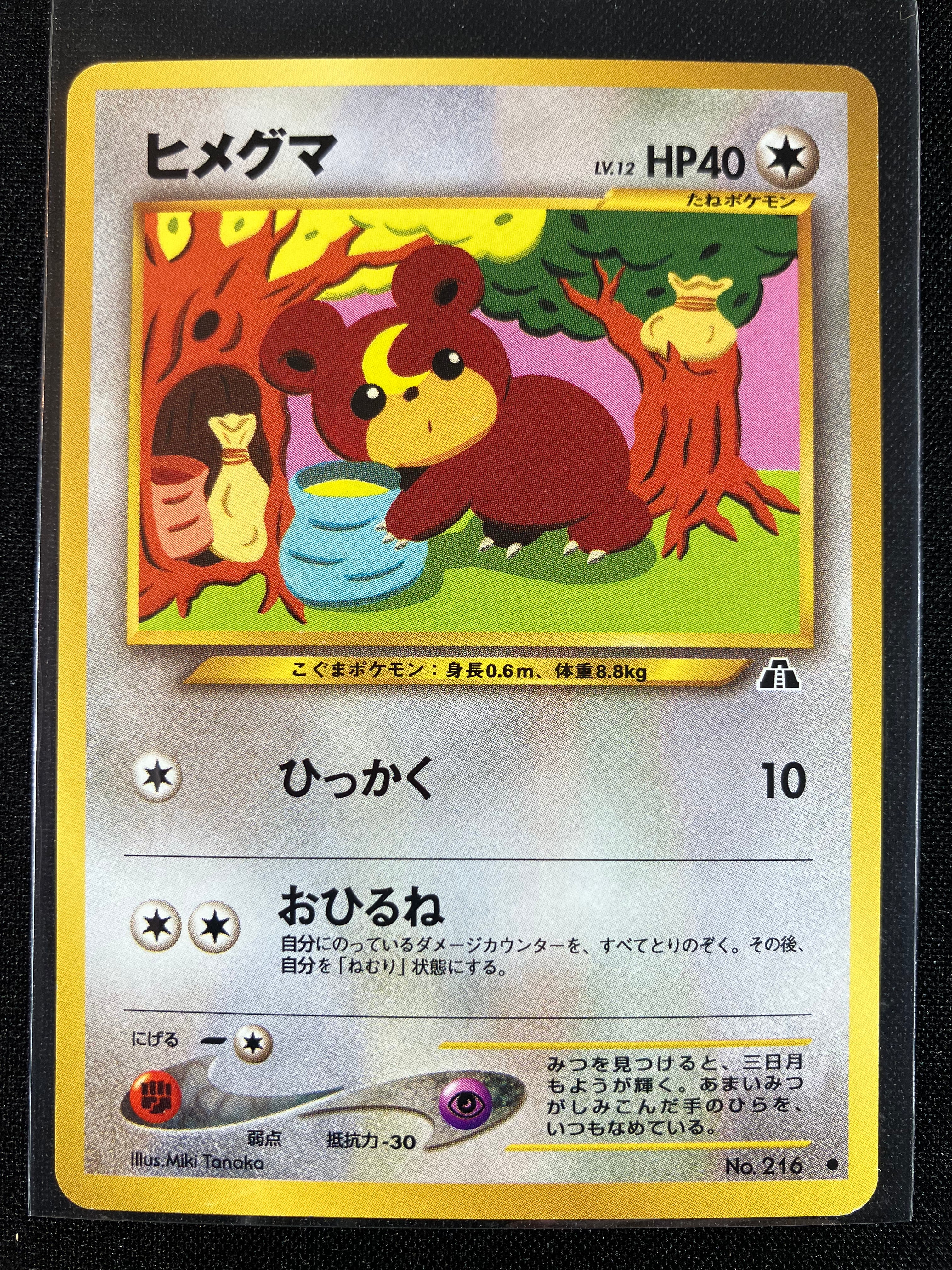 Teddiursa - Crossing The Ruins...