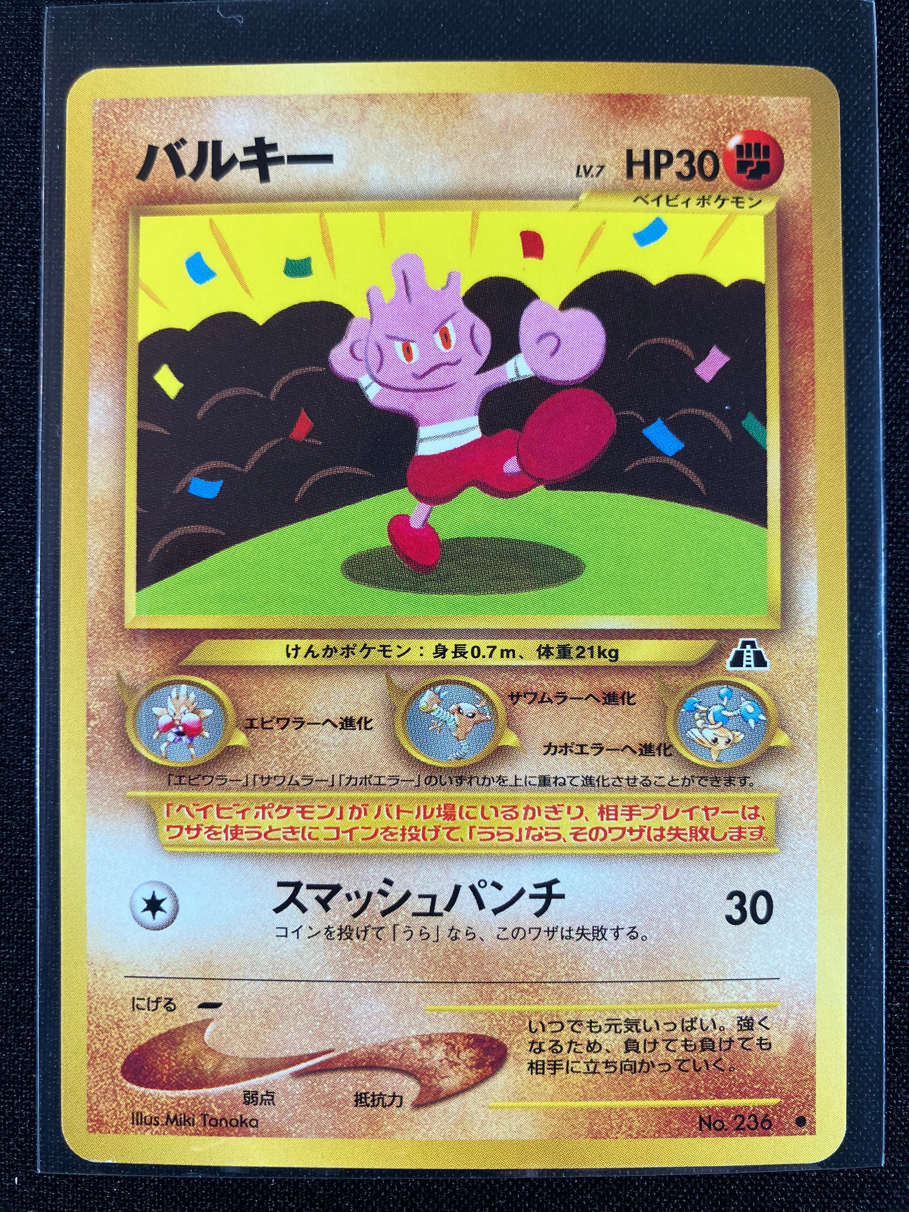 Tyrogue - Crossing The Ruins...