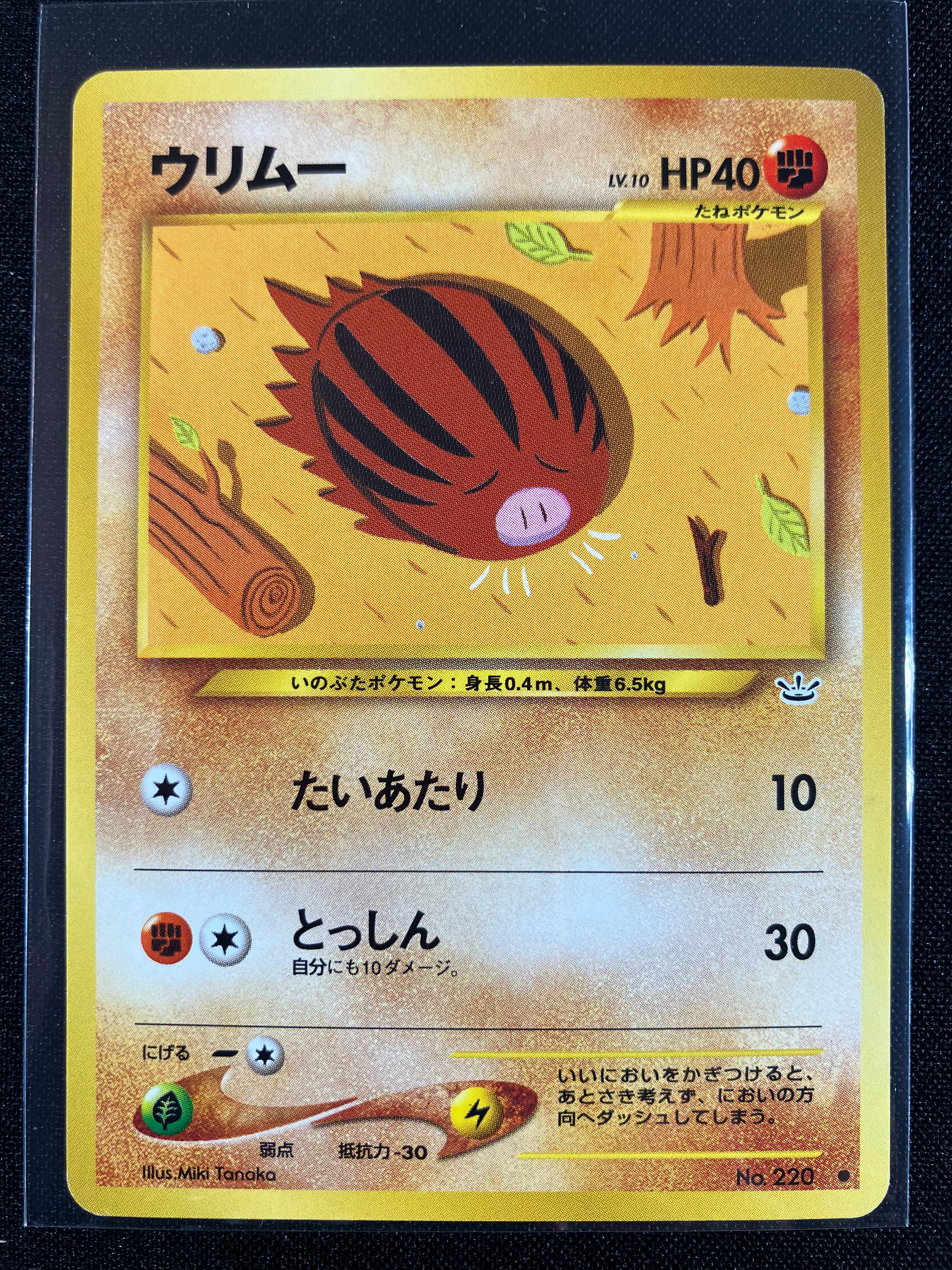 Swinub - Awakening Legends