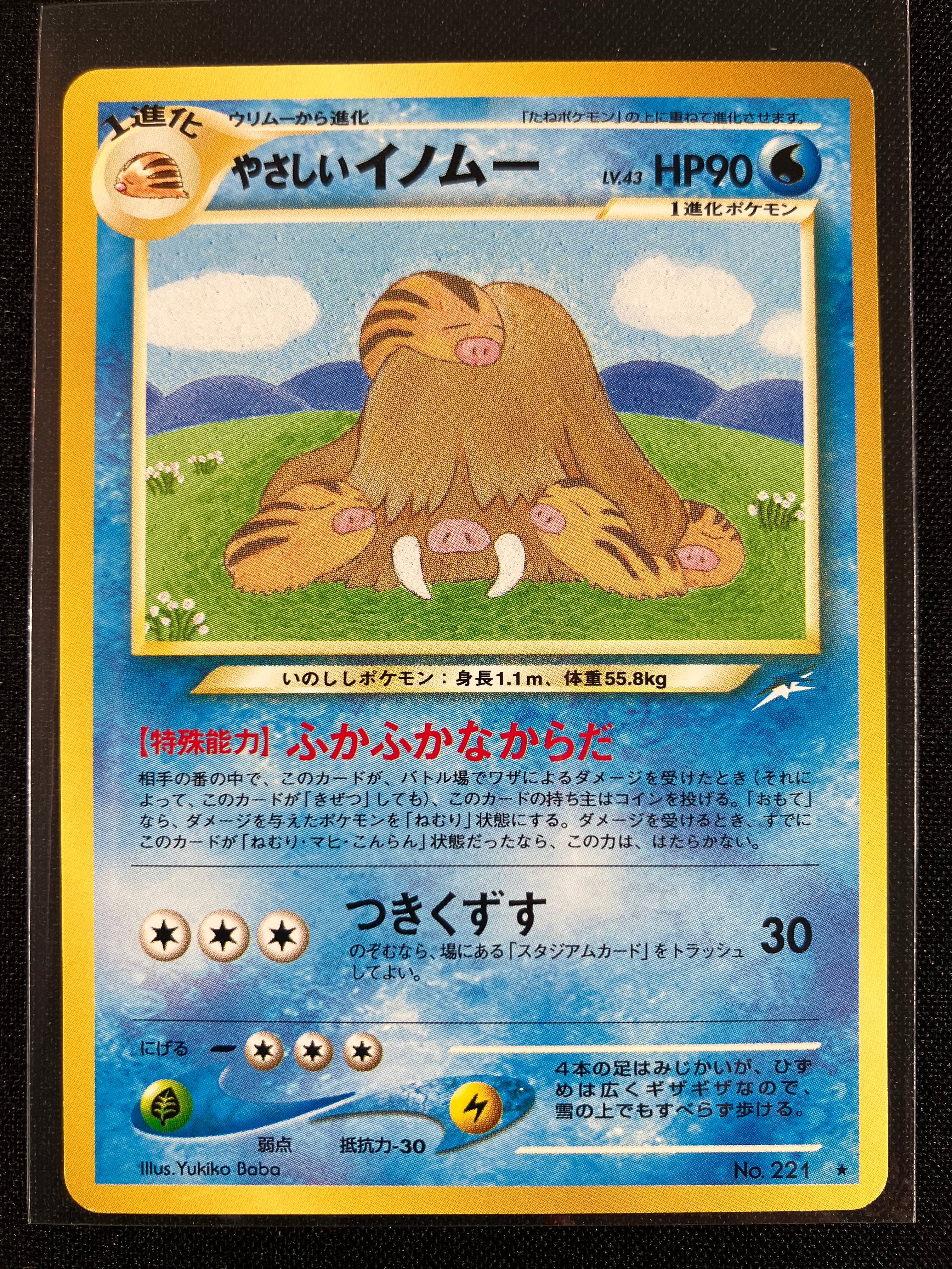 Light Piloswine - Darkness, And To Light...