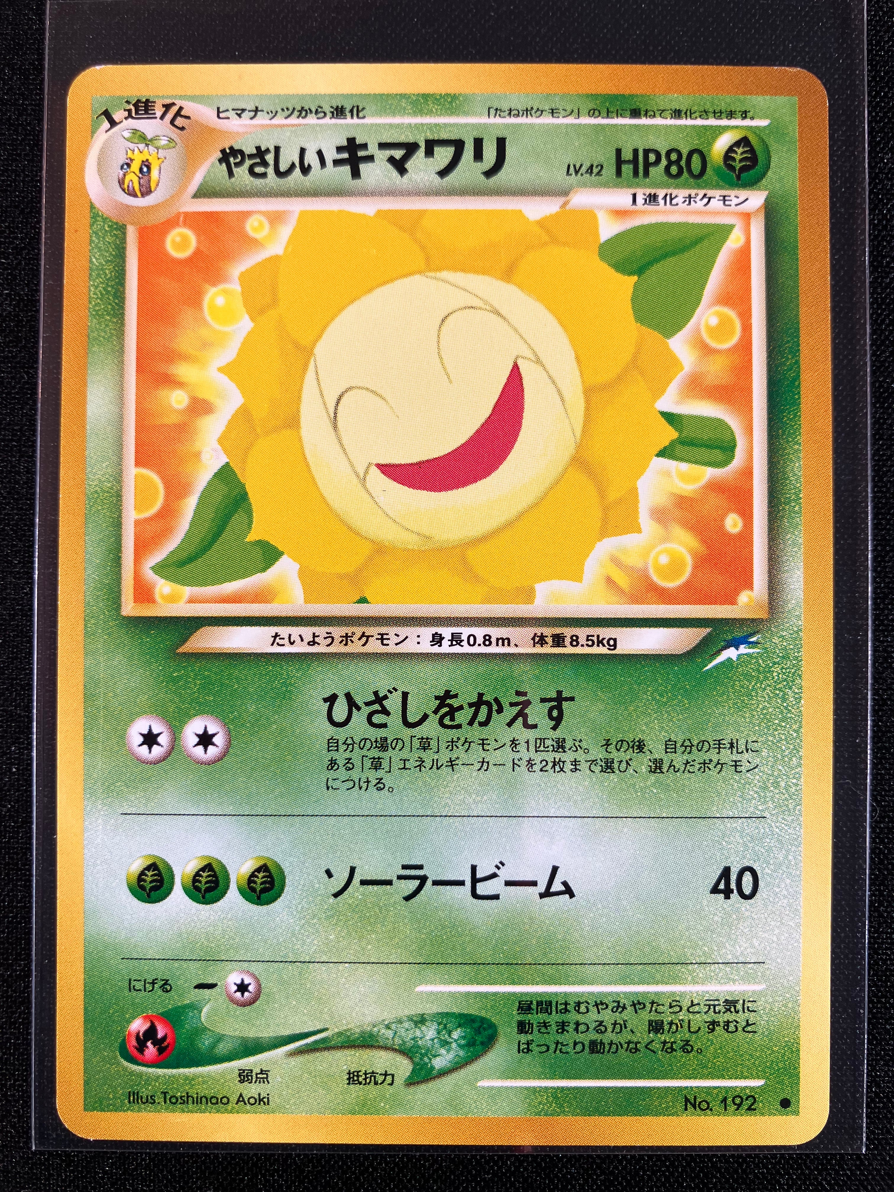 Light Sunflora - Darkness, And To Light...