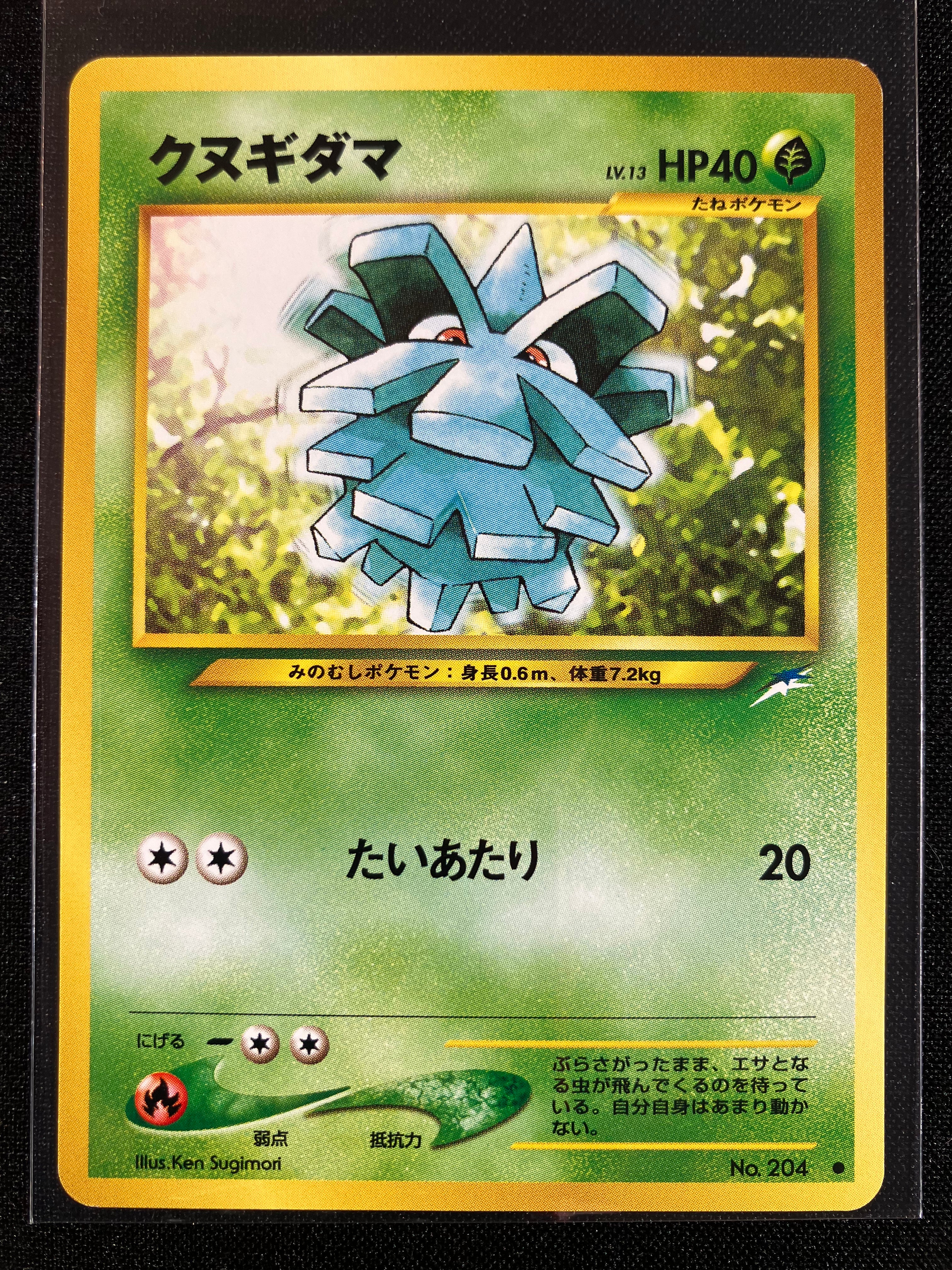 Pineco - Darkness, And To Light...