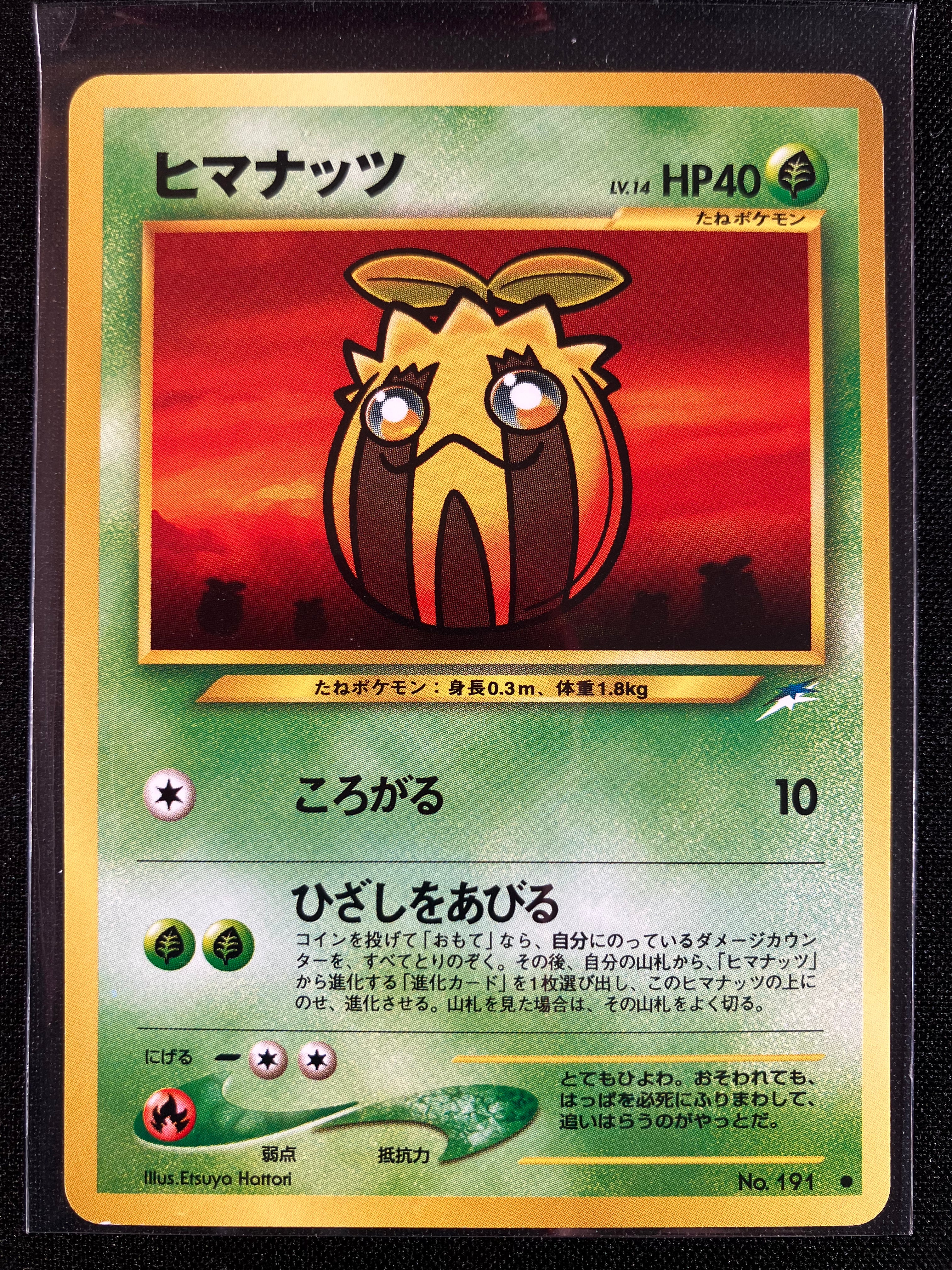 Sunkern - Darkness, And To Light...