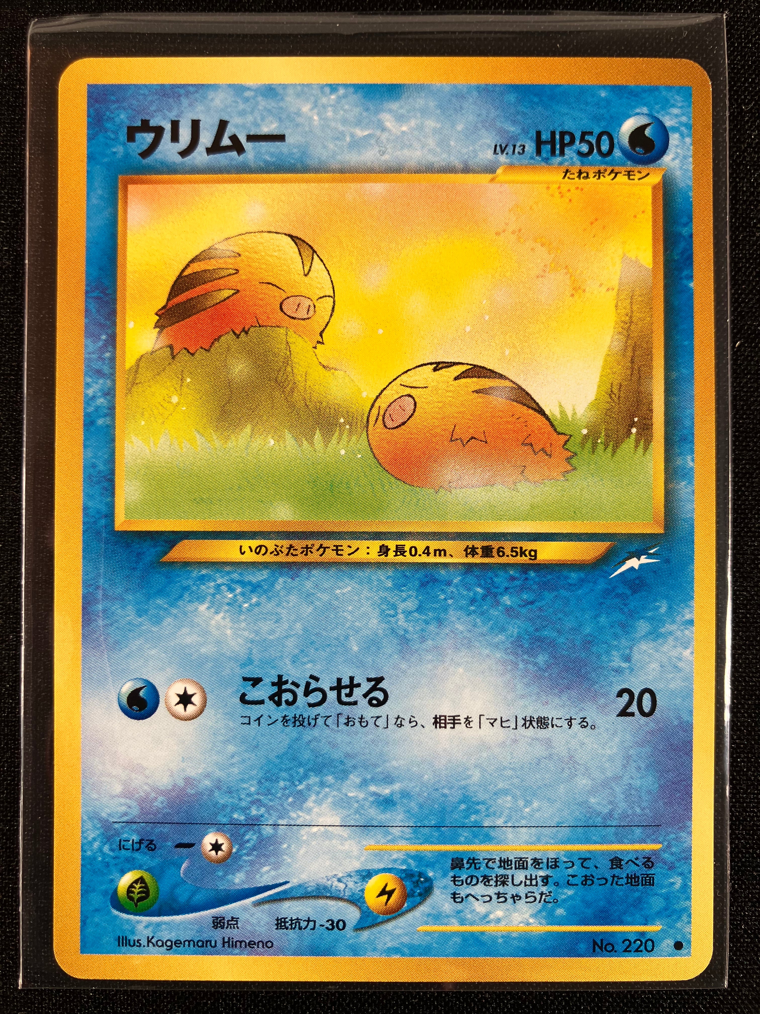 Swinub - Darkness, And To Light...