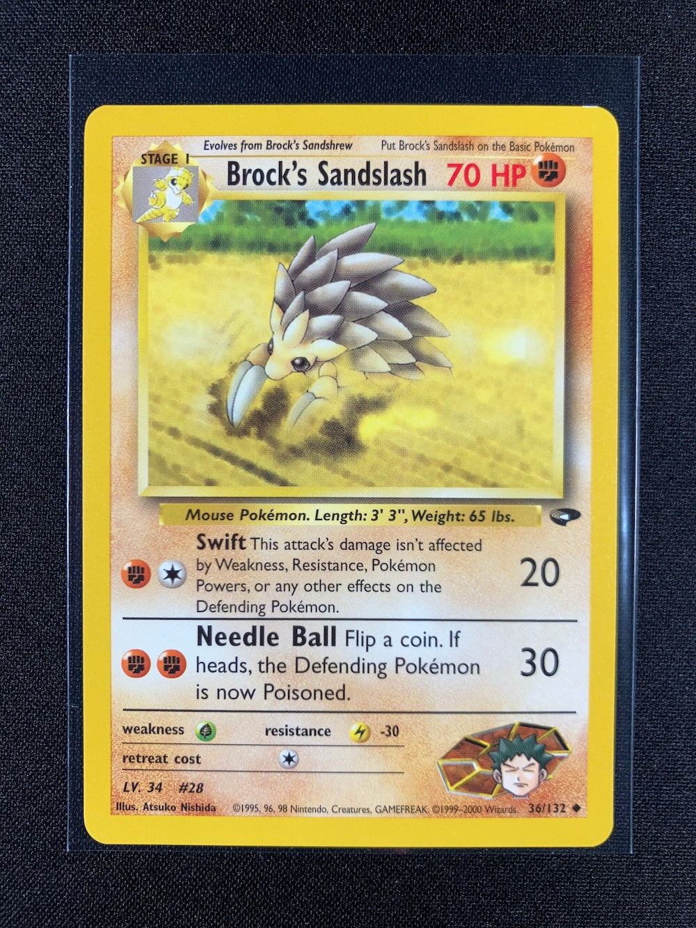 Brock's Sandslash - Gym Challenge - #36