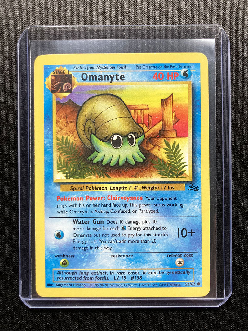 Omanyte - Fossil - #52